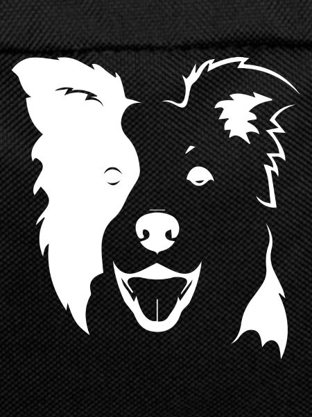 Dog dog agility