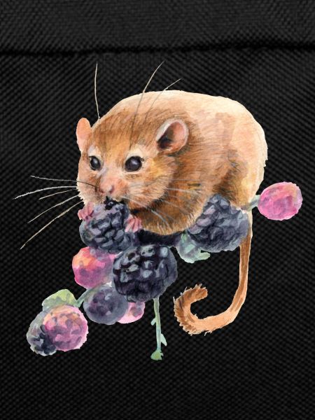 Haselmaus