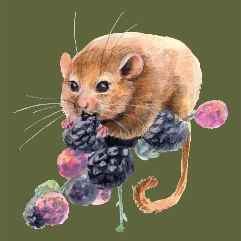 Hazel dormouse