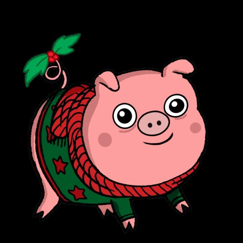 Cochon de Noel cute pull d'hiver