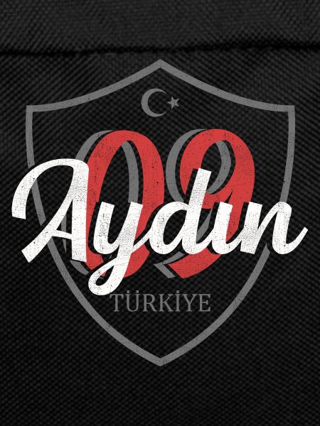 Aydın