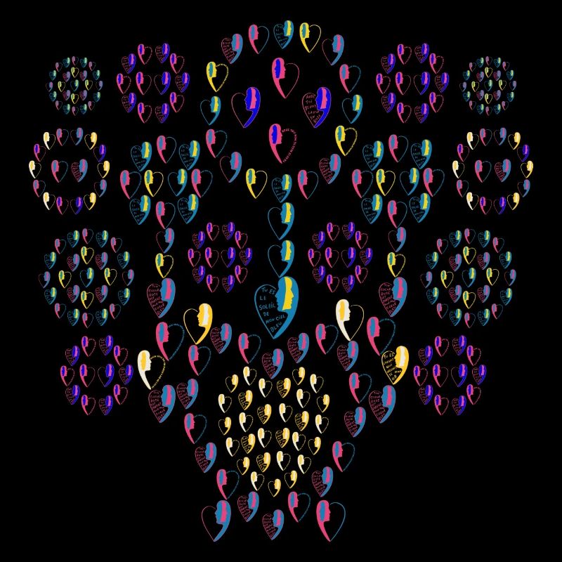 Bouquet feu d'artifice.