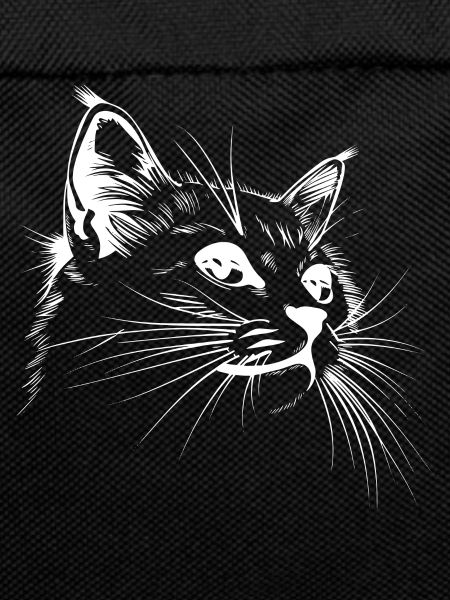 Cat, Cat Motif, Cat Face