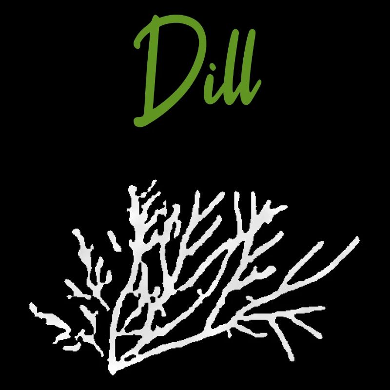 Dill Herbs