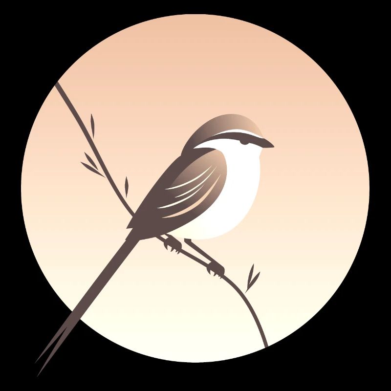 Petit oiseau sur branche