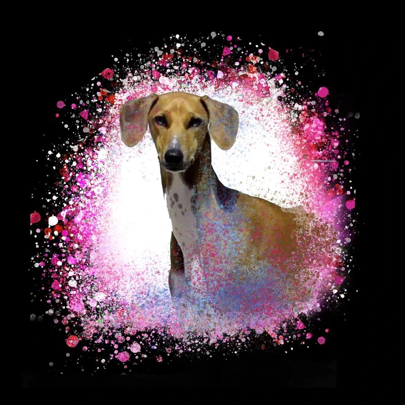Azawakh, dog, graffiti,pink,painting,greyhound