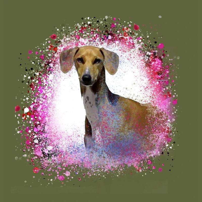 Azawakh, hund, graffiti,pink,malerei,windhund