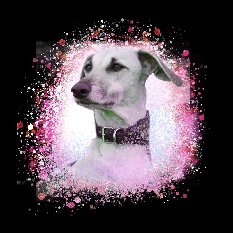Sloughi, dog, graffiti,pink,painting