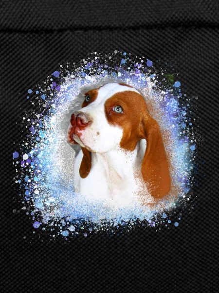 Catalburun, dog, graffiti,beige,painting,boxer