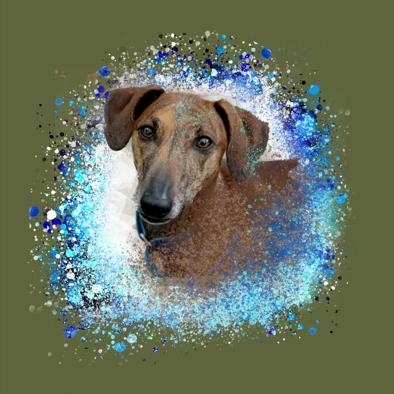 Azawakh, hund, graffiti,blau,malerei,windhund