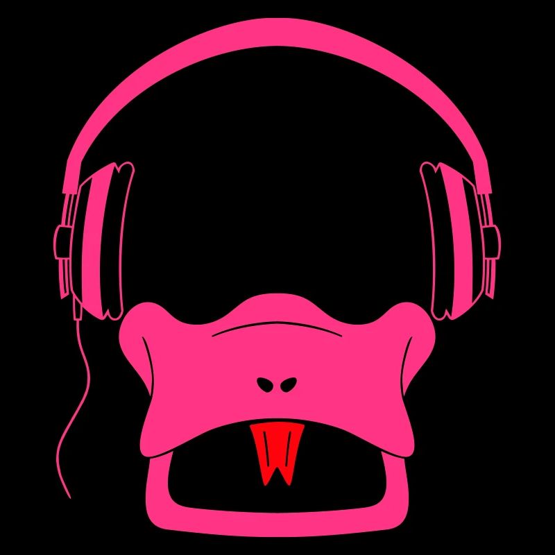 Platy Acoustique