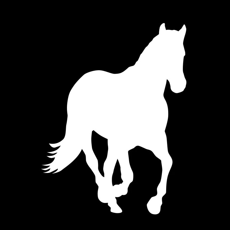 Pferd Pony Wildpferd