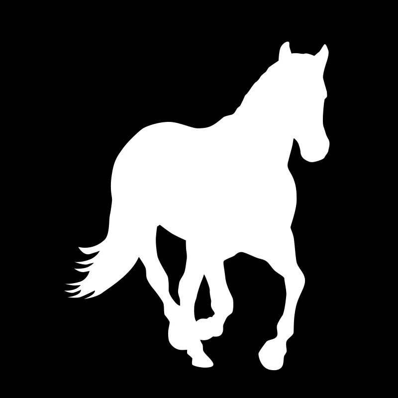 Pferd Pony Wildpferd