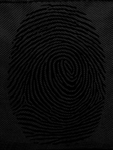 Fingerprint - Fingerprint