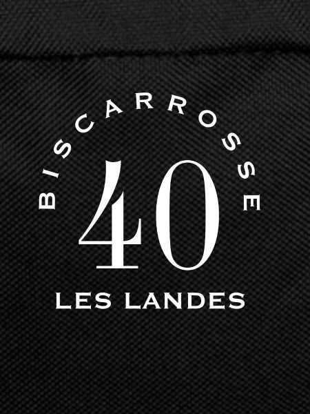 biscarrosse landes