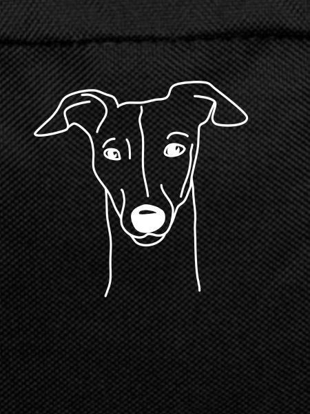 Whippet