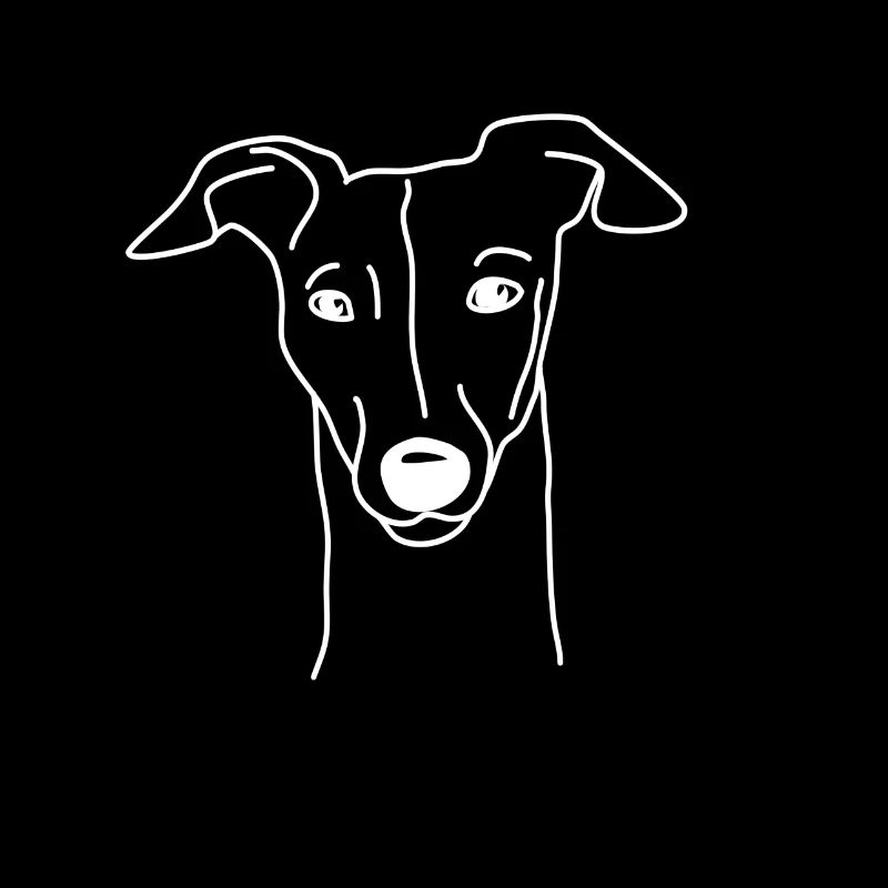 Whippet