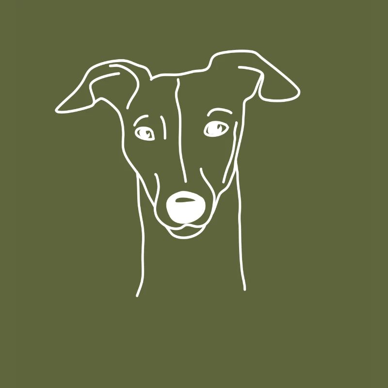 Whippet