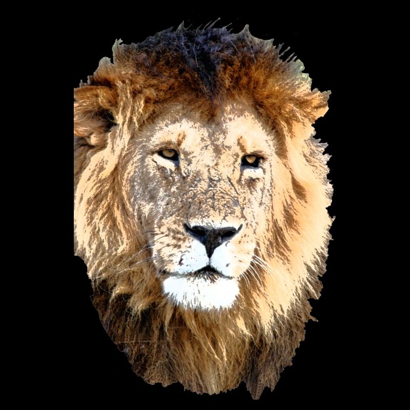 Big Lion King
