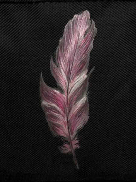 feather
