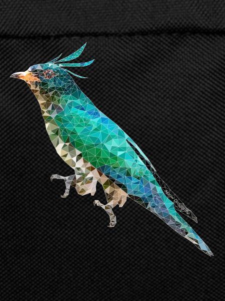 Bird ~ the Emerald Cuckoo