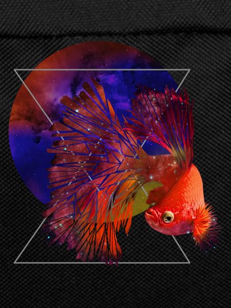 Poissons de l’espace
