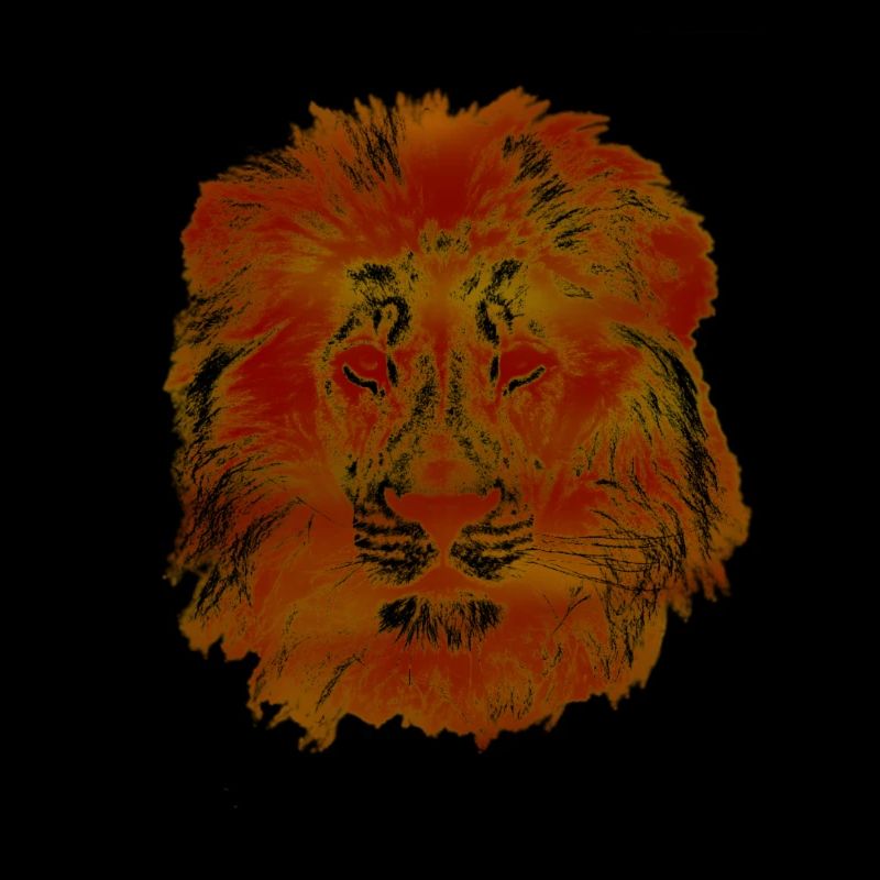 LionOrangered