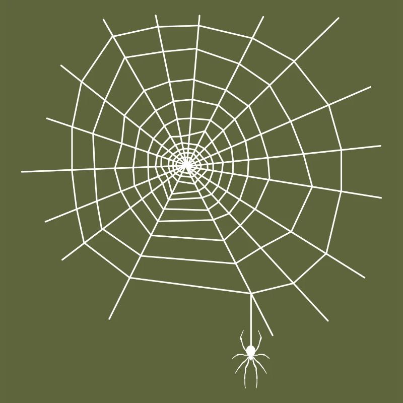 Spider Web Spider