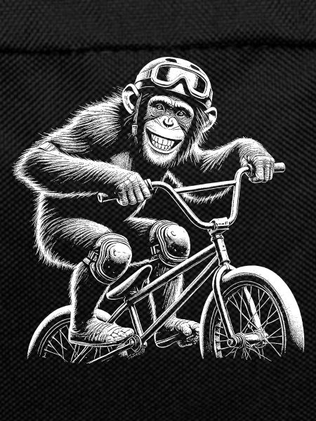 Vélo BMX