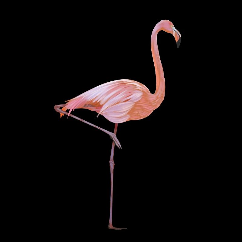 flamingo
