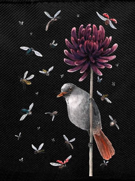 oiseau et mouche