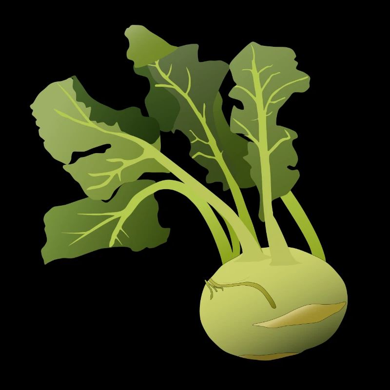 kohlrabi