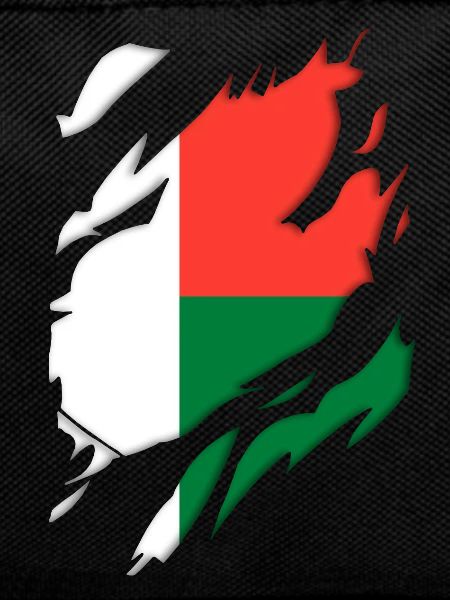 Madagascar flag torn motif