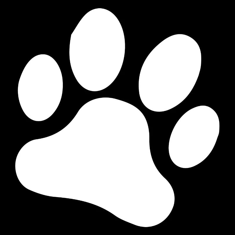 Dog dog