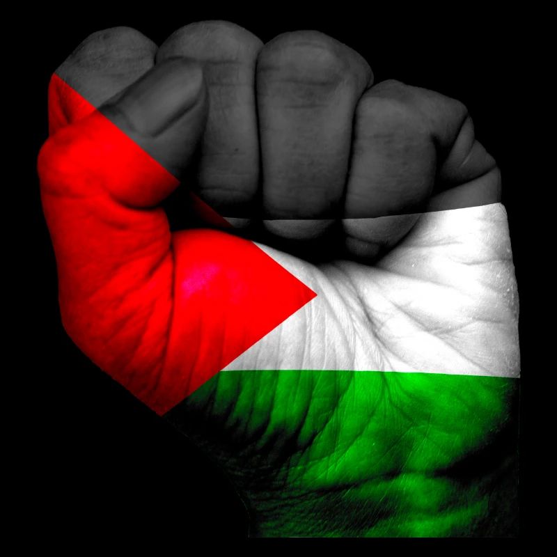 Fist Palestine
