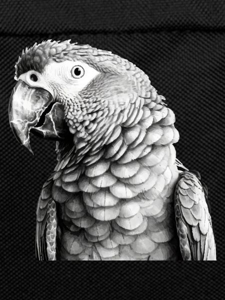 Parrot in pencil