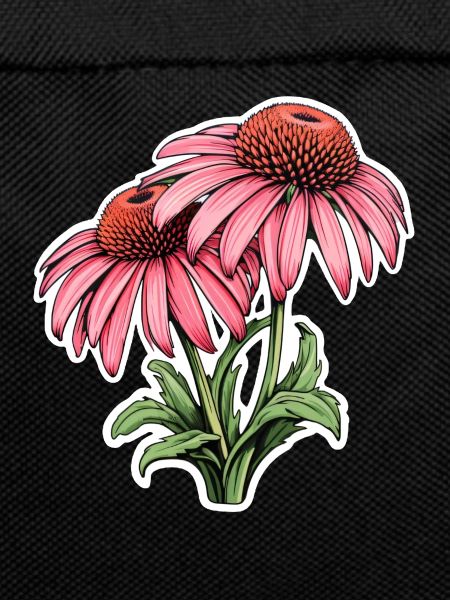 Echinacea 2 Flowers