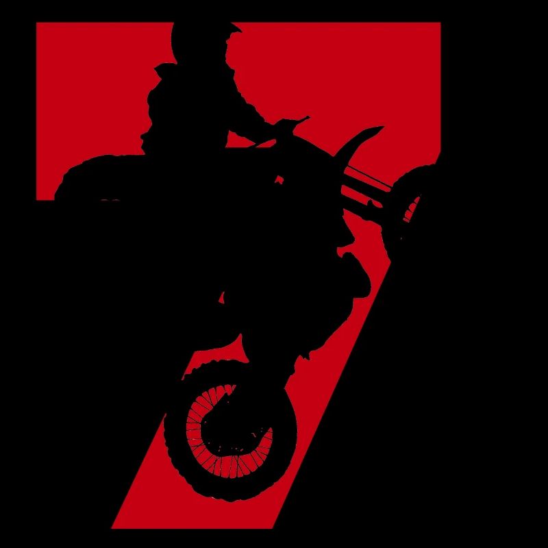 Moto 7 motard