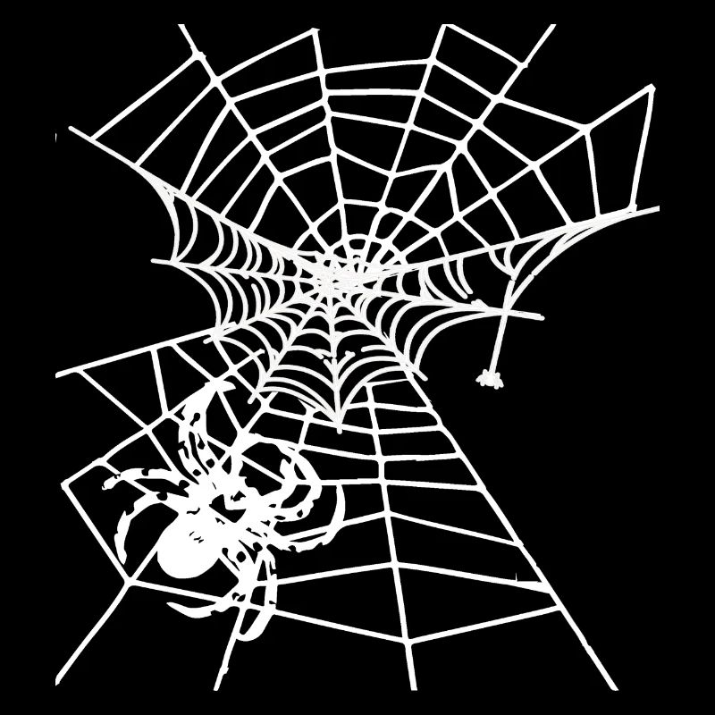 Araignée d’araignée, toile d’araignée, toile blanche, Halloween