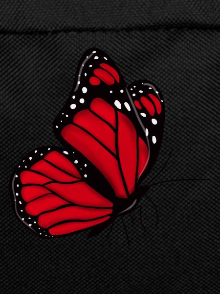 Papillon