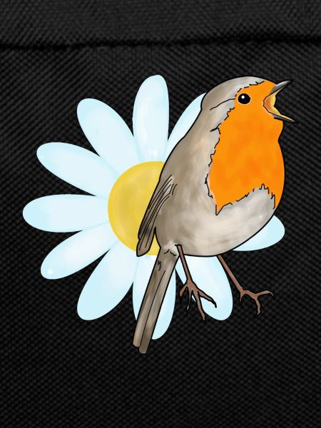 Robins and marguerites