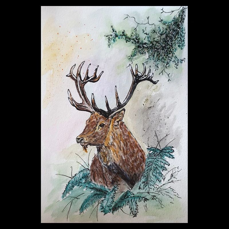 Hirsch Deer