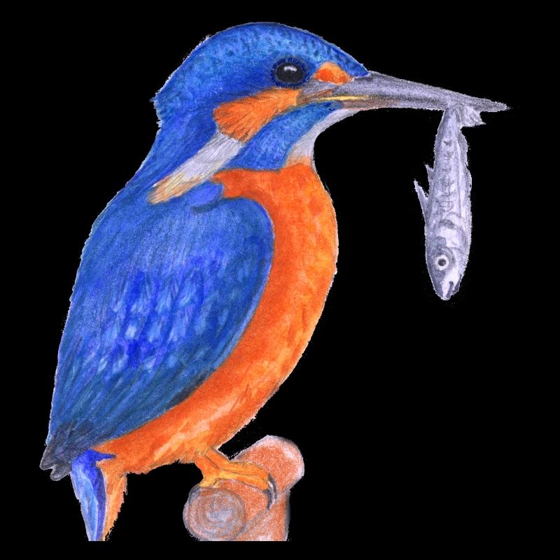 Martin-pêcheur avec poisson
