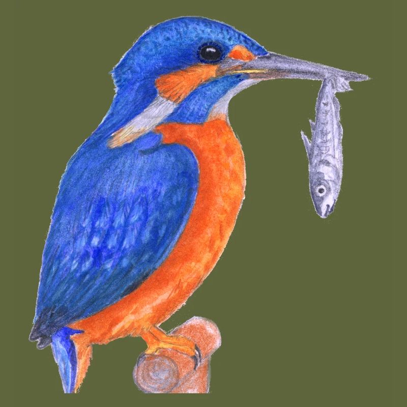 Kingfisher with fish