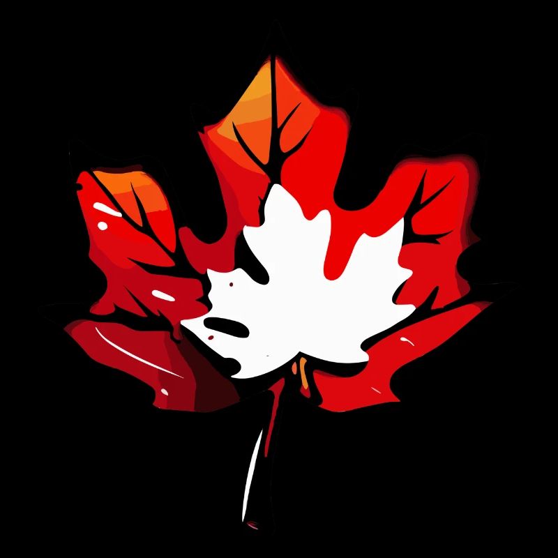 Maple Leaf / Autumn / Foliage / Forest / Nature