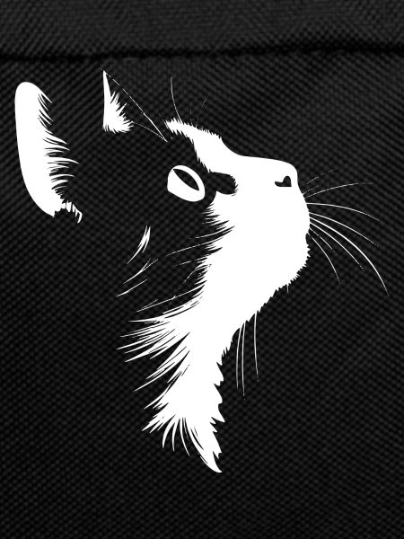 Cat, Cat Motif, Cat Face