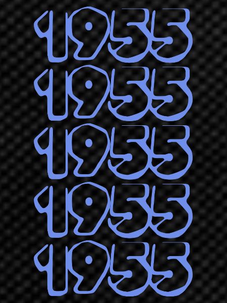 Birthday 1955