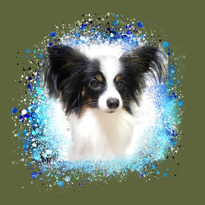 papillon,dog,spitz,zwergspitz,pompom