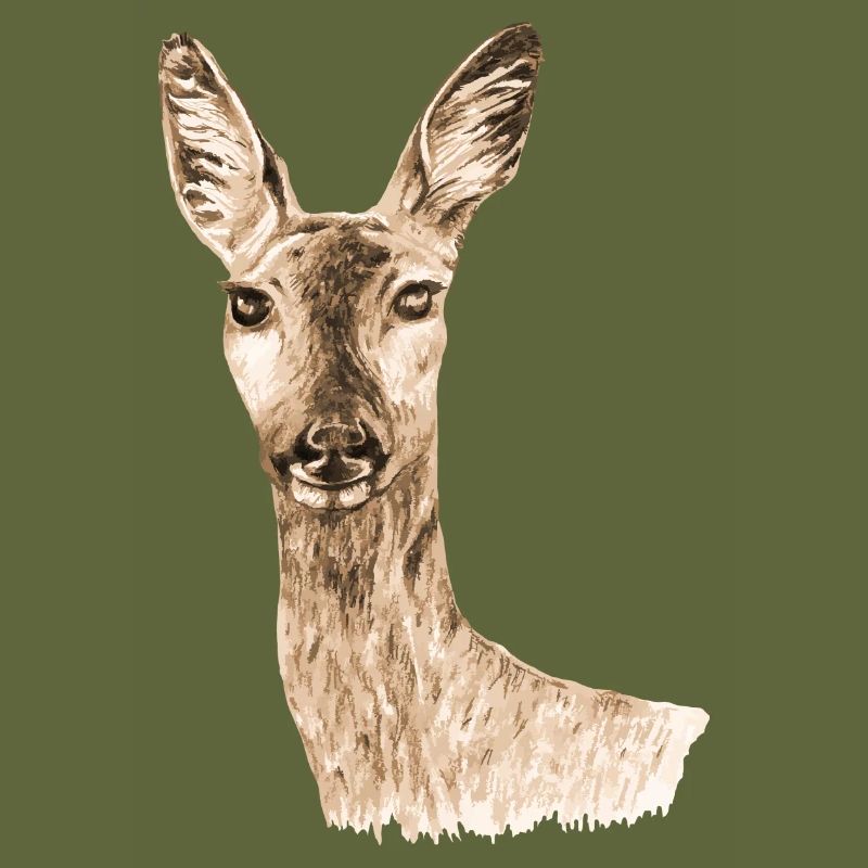 Roe deer