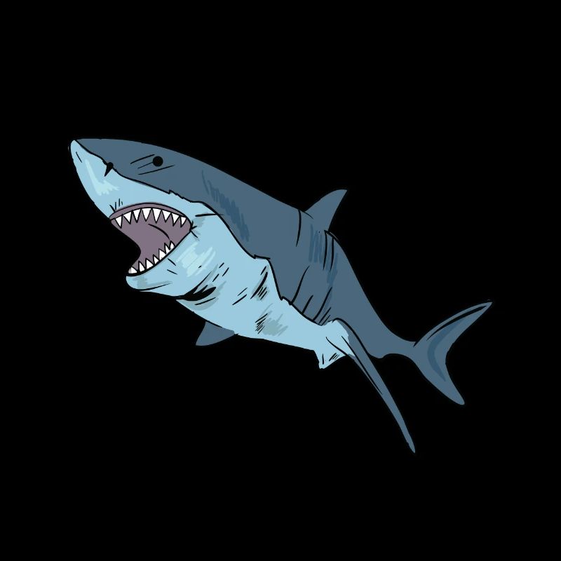 Shark shark